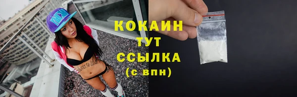 мдпв Волоколамск