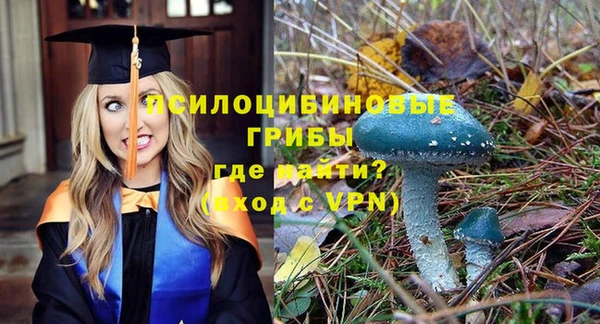 мдпв Волоколамск