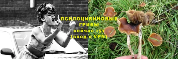 ALPHA PVP Володарск